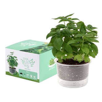 �ڿ��� ���̰��� ���� ���� ȭ��ŰƮ- ����