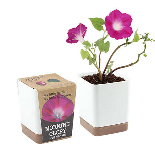 ����簢 ȭ��- ���Ȳ�