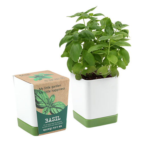 ����簢 ȭ��- ����