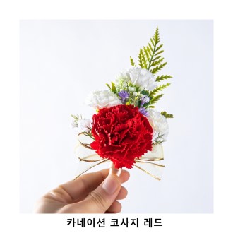 ��ũ�ص� ī���̼� �ڻ��� ����, ����̳�, �����ǳ�, ����