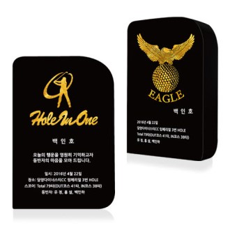 KC349 ������ǽ� ���� ũ����Ż Ʈ���� 1